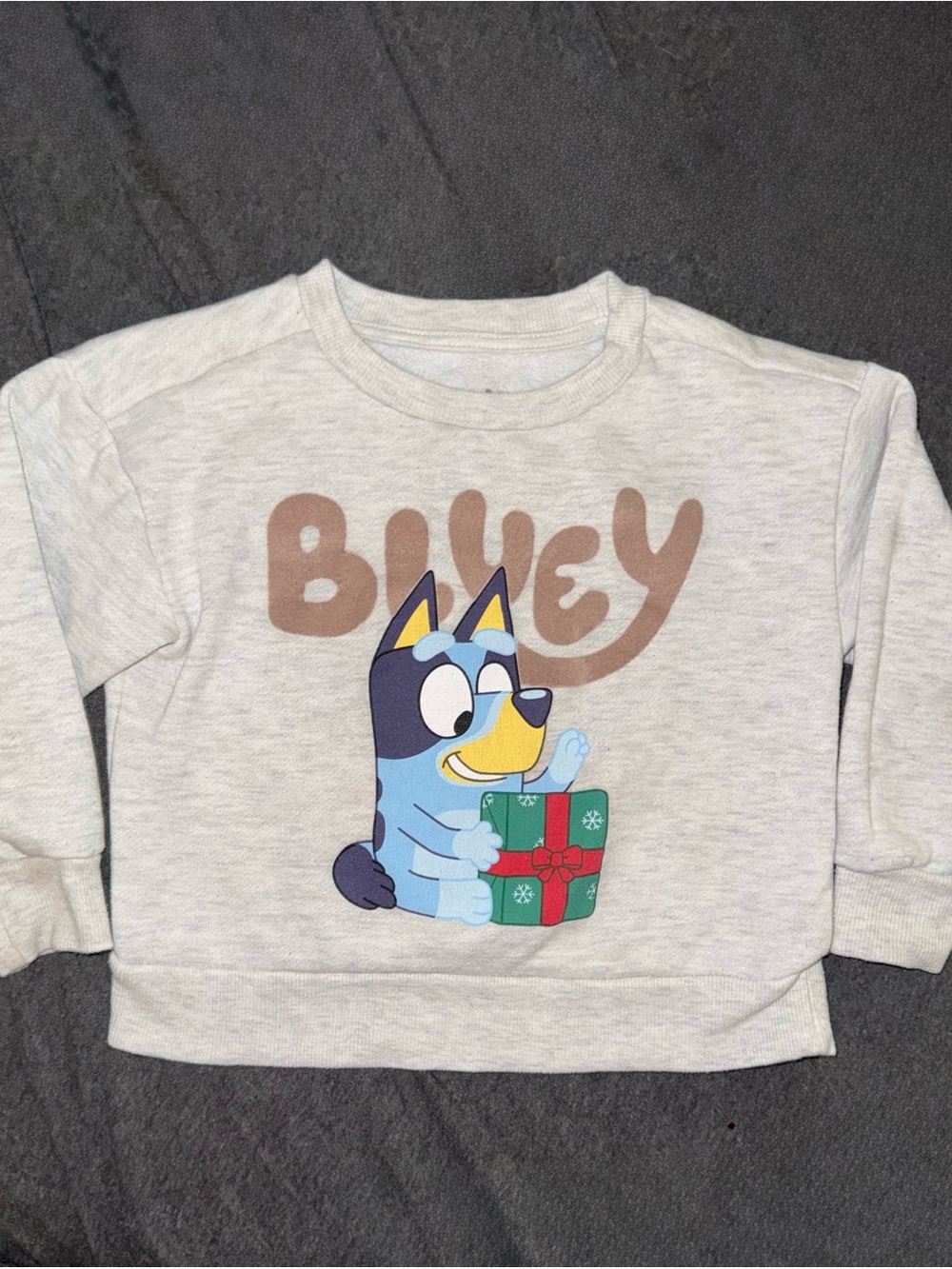 Bluey Graphic Sweatshirt Light Gray 2T
